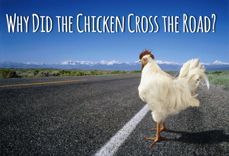 Chicken road gokkast - Het Bekende Spel Chicken Road Nu Te Spelen in Nederlandse Online Casinos